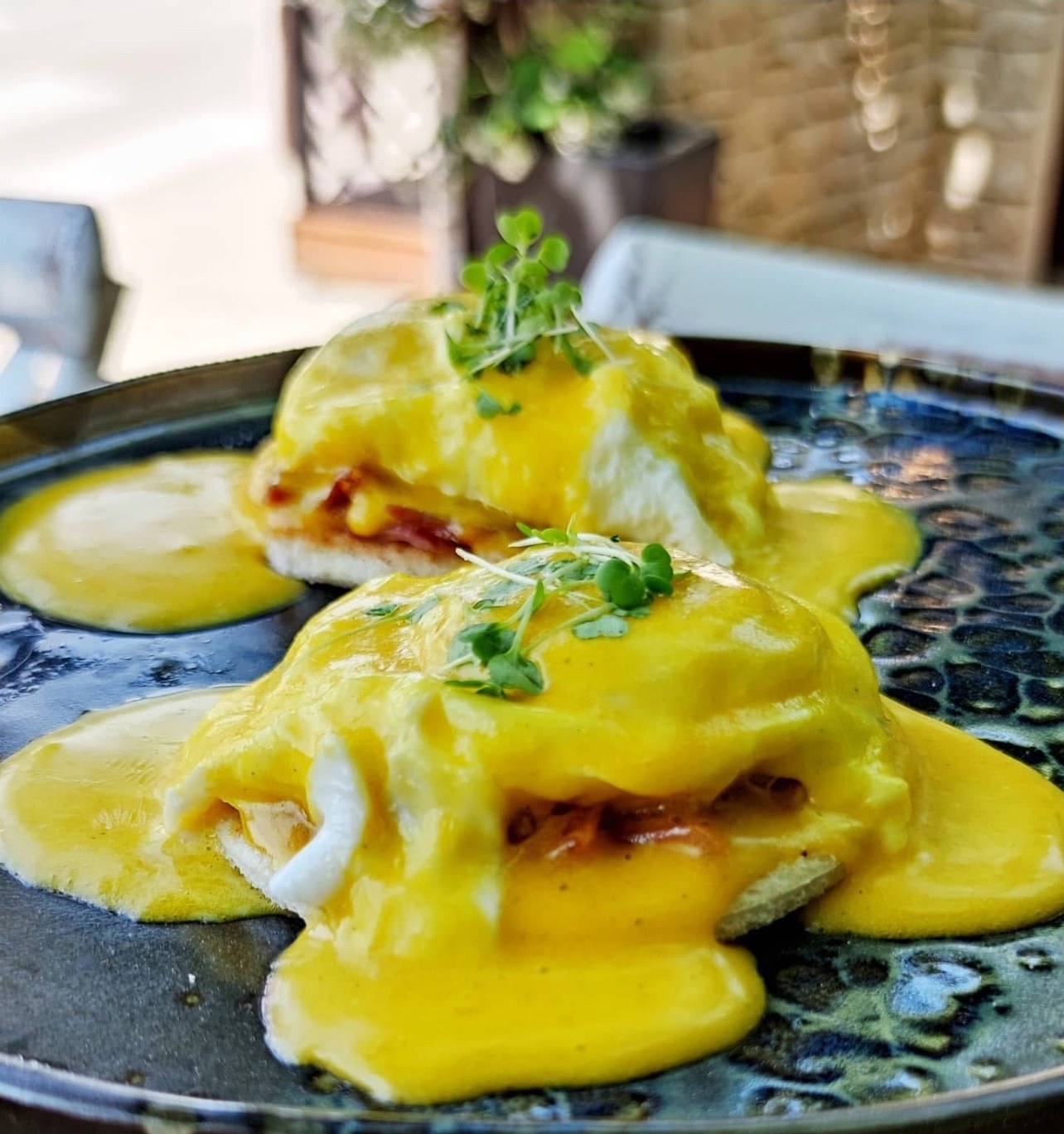 Galiner gourmet dish
